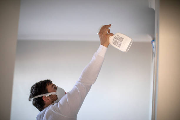 Best Water Damage Restoration  in Whittingham, NJ