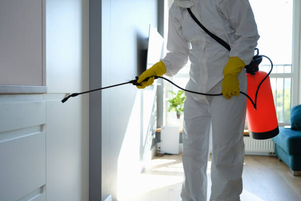 Best Professional Mold Removal  in Whittingham, NJ