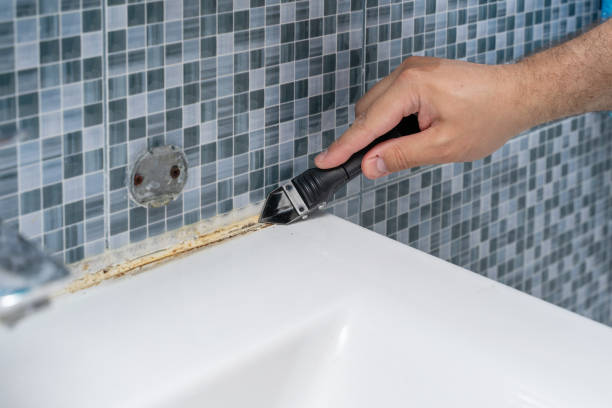 Best Best Mold Removal Companies  in Whittingham, NJ