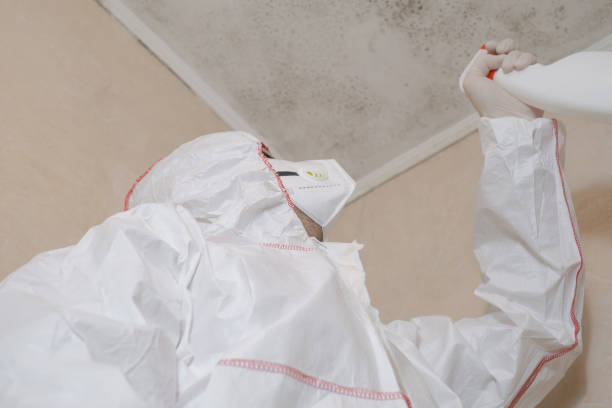 Professional Mold Removal in Whittingham, NJ